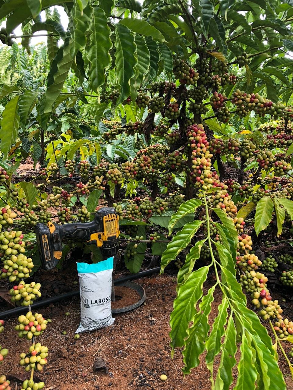 Avante Agrícola - Equipe Comercial